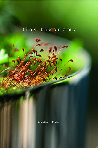 Tiny Taxonomy: Individual Plants in Landscape Architecture